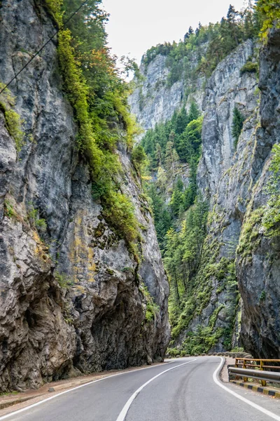 Bicaz Gorge Trasylvania Romania — Stock Photo, Image