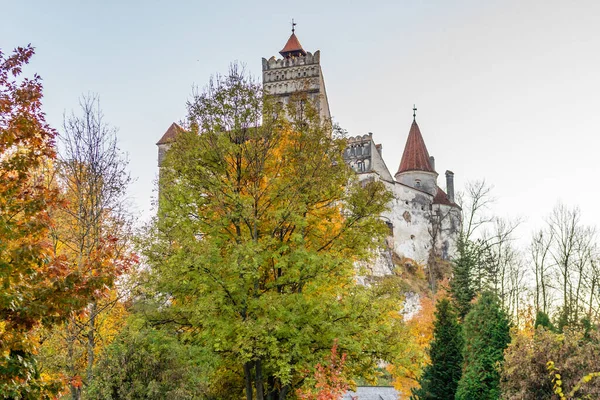 Castelo Drácula Sombrio Outono Transilvânia Romênia — Fotografia de Stock