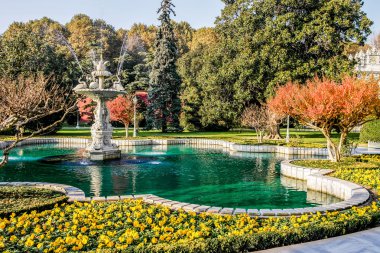 Istanbul'da sonbahar park. Istanbul Park çeşme.