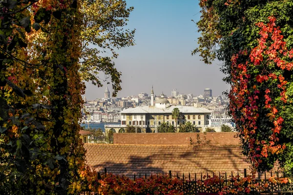 Vista torre galata con hojas de otoño. hojas rojas de uvas silvestres —  Fotos de Stock