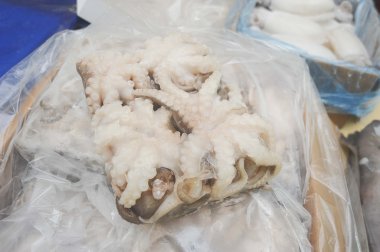 İhracat için dondurulmuş mürekkep balığı.