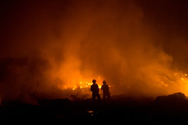 Orman yangını gece kavga itfaiyeci — Stok fotoğraf