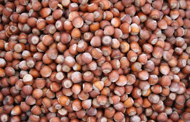 bankta Kabuklu Fındık