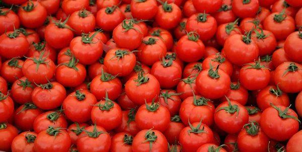 Red tomatoes on the bench — Stock Photo, Image