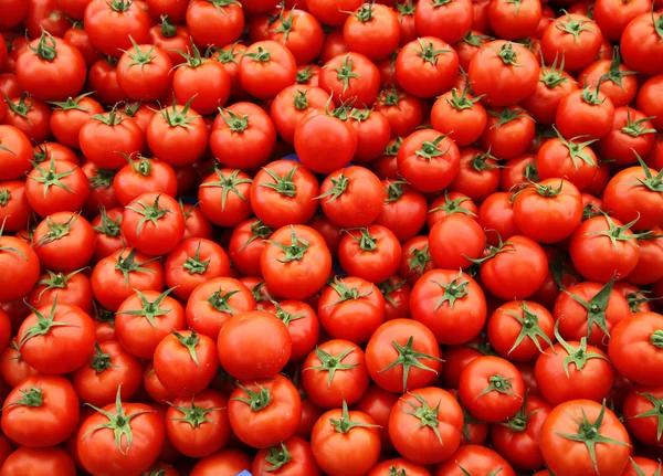 Rode tomaten op de Bank — Stockfoto