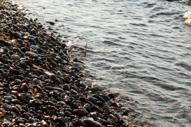 taş plaj ve deniz dalgaları