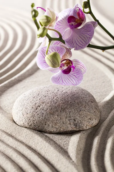 Orchideák és kavicsos belső szépség jelképe — Stock Fotó