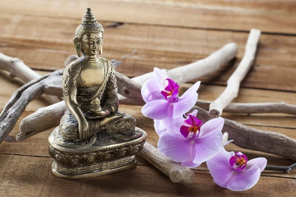 Natuurlijke elementen voor schoonheid behandeling-Stilleven met zen mentaliteit — Stockfoto