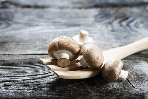 Funghi di Parigi su nuova forchetta d'insalata di legno — Foto Stock