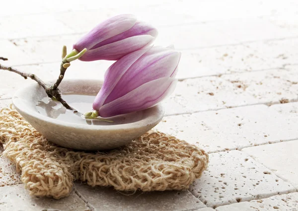 Flores de magnolia para una exfoliación suave —  Fotos de Stock