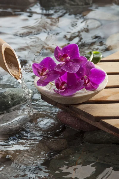 Naturalny symbol wody spa uroda i relaks w feng shui środowiska — Zdjęcie stockowe