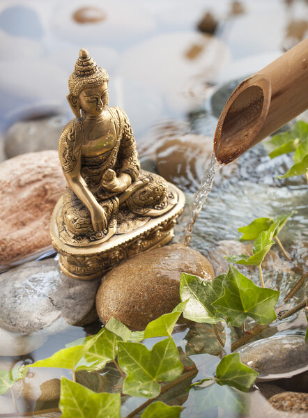 meditation with Buddha in water environment with pebbles, green foliage for relaxation
