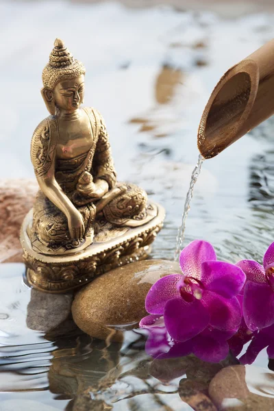 Buda para beleza interior em ambiente aquático com seixos, orquídeas e fonte de paz — Fotografia de Stock