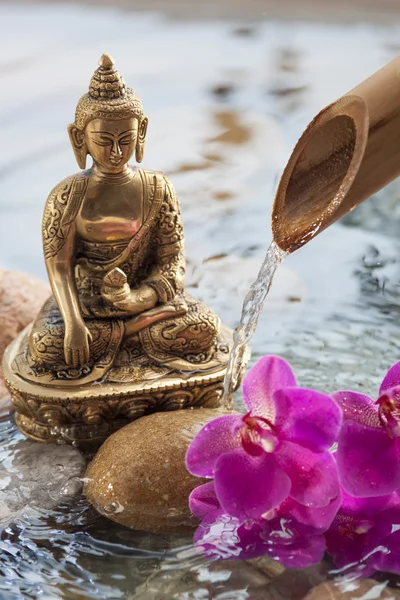 çakıl taşları, orkide ve bambu kaynak gençleştirme için dini sembol