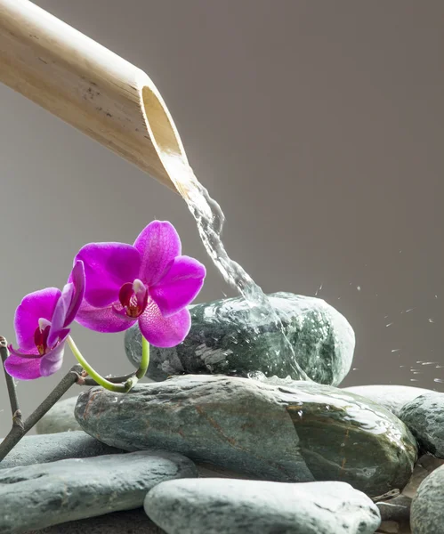 Wody dla urody z kamyczków, storczyki i bambusa na źródło relaksu — Zdjęcie stockowe