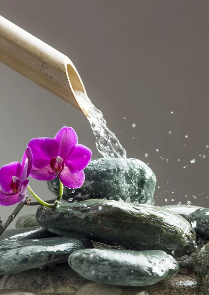 Orquídea ao lado de água com seixos e bambu para paz e relaxamento — Fotografia de Stock