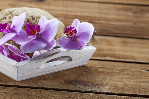 Towel and natural sponge for hygiene and relaxation — Stock Photo, Image