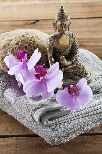 Natural accessories for beauty treatment still-life with zen mindset — Stock Photo, Image