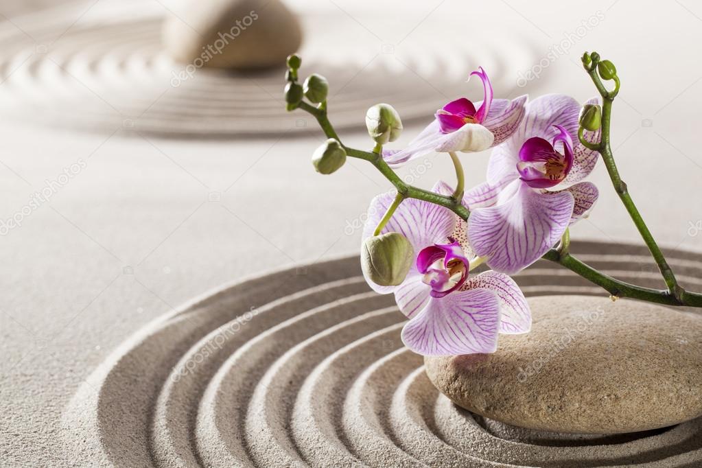 flowers and pebbles in sand for concept of femininity or wellbeing