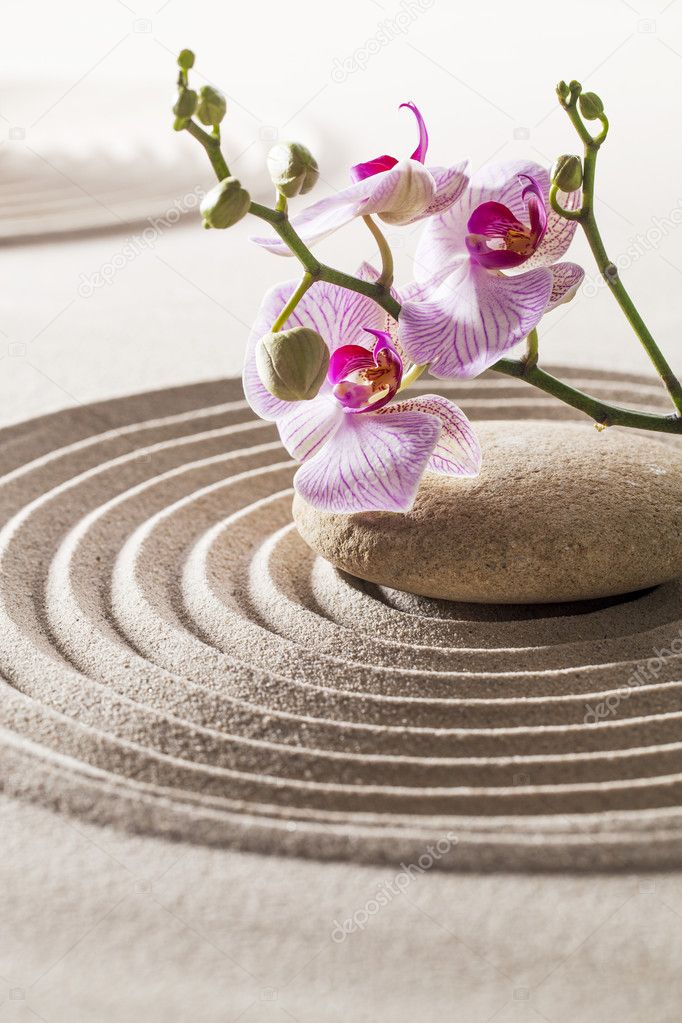 orchids and pebble in sand for concept of femininity or wellbeing