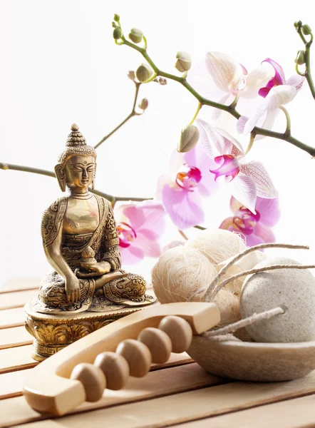 pul pul dökülme lif kabağı ve pampering masaj gençleşme için