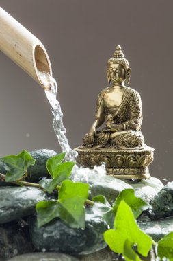 güzel çakıl, yeşil yeşillik ve bambu barış ve meditasyon ile su