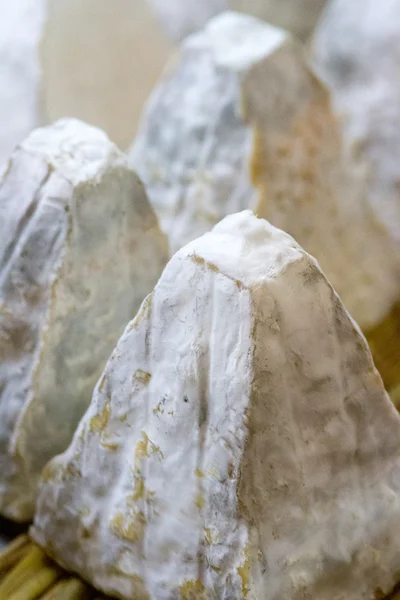 Гастрономический козий сыр под названием Пулиньи Сен-Пьер — стоковое фото