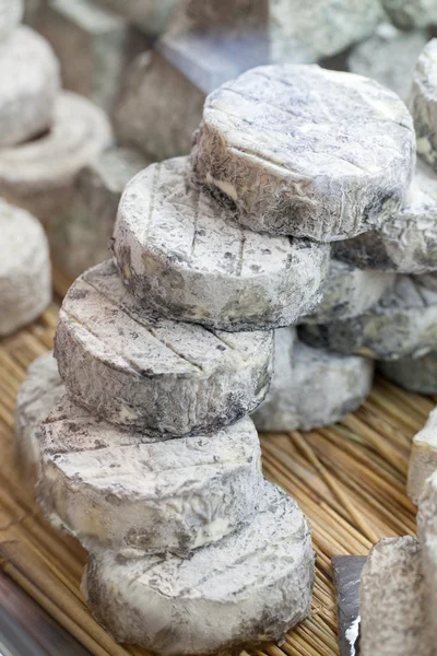 Queso de cabra francés refinado en la tienda de especialidades — Foto de Stock