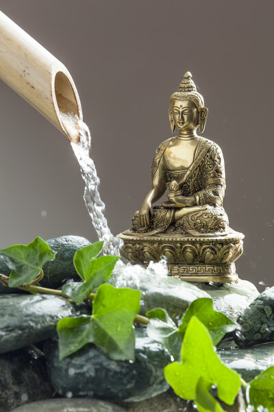 water with beautiful pebbles, green foliage and bamboo for peace and meditation