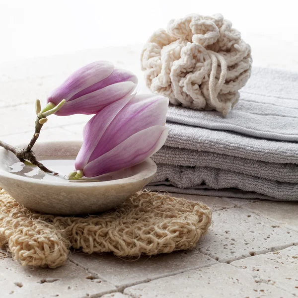 Magnolia flowers for beauty treatment — Stock Photo, Image