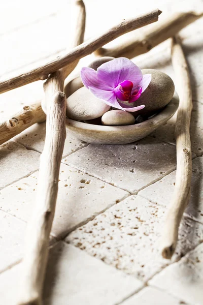 Дрейф дерева и минеральный дизайн для мягкого декора спа — стоковое фото