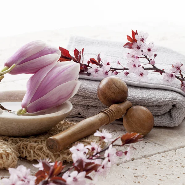 Magnolia och cherry blossom blommor för skönhet spa — Stockfoto