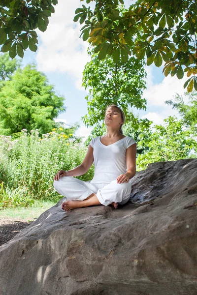 Chica rubia de 20 años meditando bajo un árbol en una roca —  Fotos de Stock