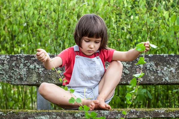 Дитина грає зі стеблами плюща, щоб вивчити природу в саду — стокове фото