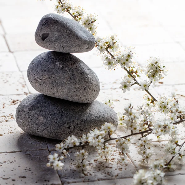 瞑想のための新鮮な白い春の花とのバランスで小石 — ストック写真