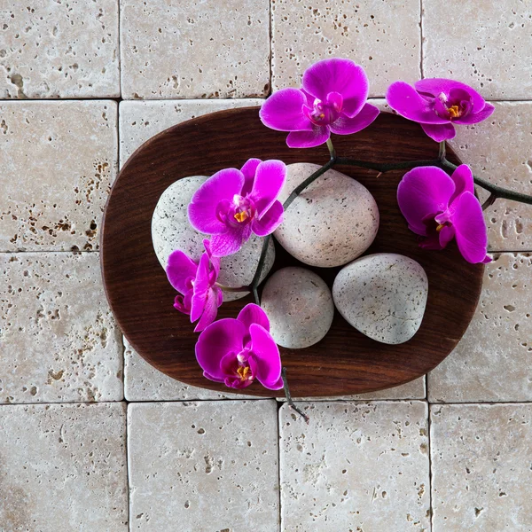 Płaski lay, minimalna koncepcja spa z pięknymi kamieniami i orchidei — Zdjęcie stockowe