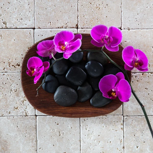 Sağlık spa konseptiyle siyah masaj çakıl ve pembe orkide — Stok fotoğraf