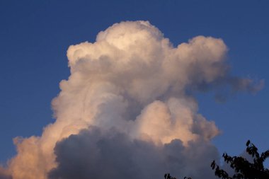 Büyük kümülüs bulutu temiz mavi gökyüzünde yazın kiraz ağacı yapraklarının üzerinde.