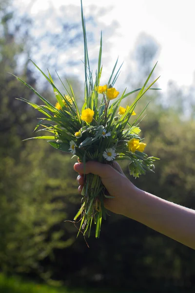 Child Hand Showing Nature Biodiversity Local Flora Precious Life Respect — Stock Photo, Image