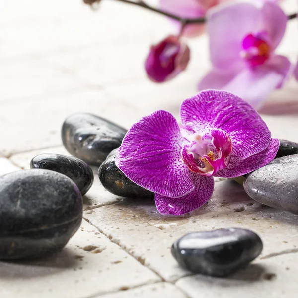 Femminilità zen con pietre da massaggio e fiori di orchidea — Foto Stock