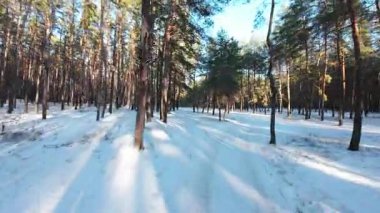 Sinematik FPV insansız hava aracı karla kaplı bir çam ormanında uçuyor. Uzun çam ağaçları arasındaki pürüzsüz hava hareketleri derinlik, hareket ve derin perspektif yaratır. Soğuk doğal ışık ve uzun gölgeler, sakin, atmosferik bir kış havası ekler.