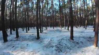 Sinematik FPV insansız hava aracı karla kaplı bir çam ormanında uçuyor. Uzun çam ağaçları arasındaki pürüzsüz hava hareketleri derinlik, hareket ve derin perspektif yaratır. Soğuk doğal ışık ve uzun gölgeler, sakin, atmosferik bir kış havası ekler.
