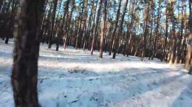 Sinematik FPV insansız hava aracı karla kaplı bir çam ormanında uçuyor. Uzun çam ağaçları arasındaki pürüzsüz hava hareketleri derinlik, hareket ve derin perspektif yaratır. Soğuk doğal ışık ve uzun gölgeler, sakin, atmosferik bir kış havası ekler.