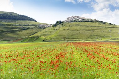 Castelluccio di Norcia manzara
