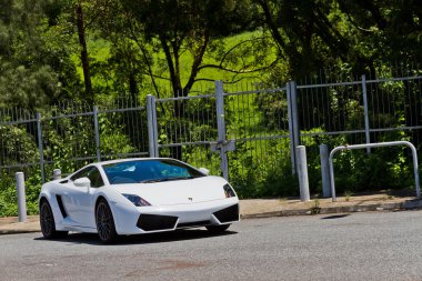 Lamborghini Lp560-2 süper araba 2013 Model