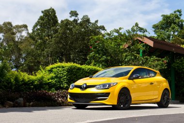 Renault Megane Rs265 Kupası