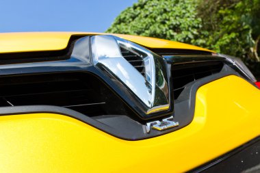 Renault Megane Rs265 Kupası
