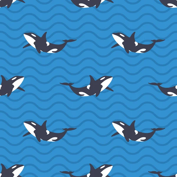 Patrón sin costura vectorial con orcas u orcas asesinas en el mar . — Vector de stock