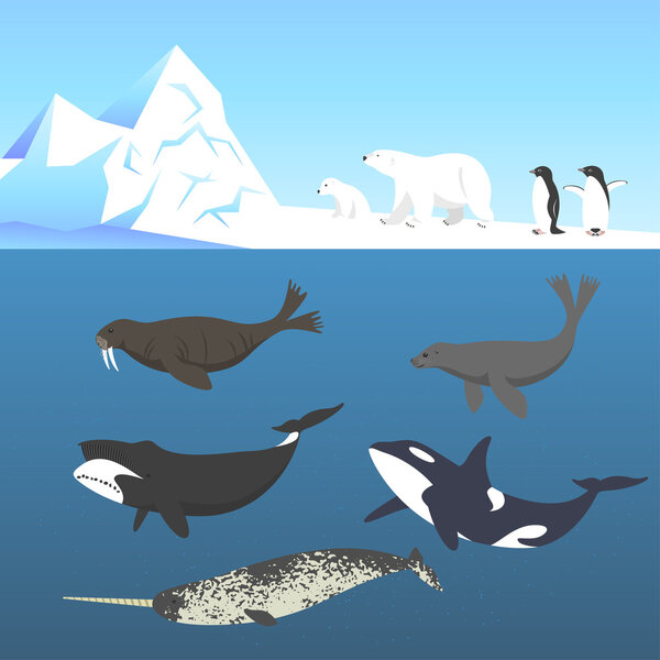 Vector set of animals living in a cold climate.