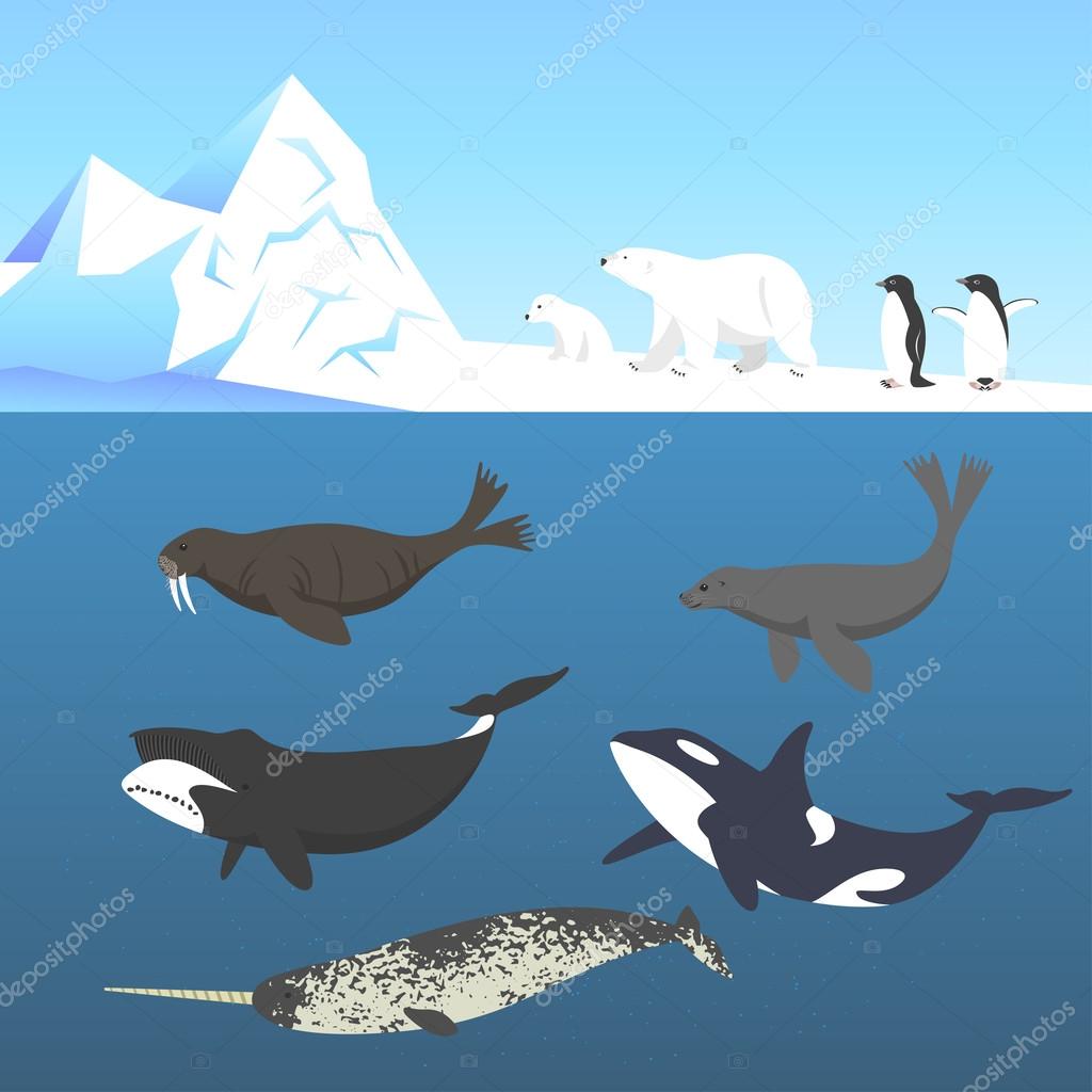 Vector set of animals living in a cold climate.